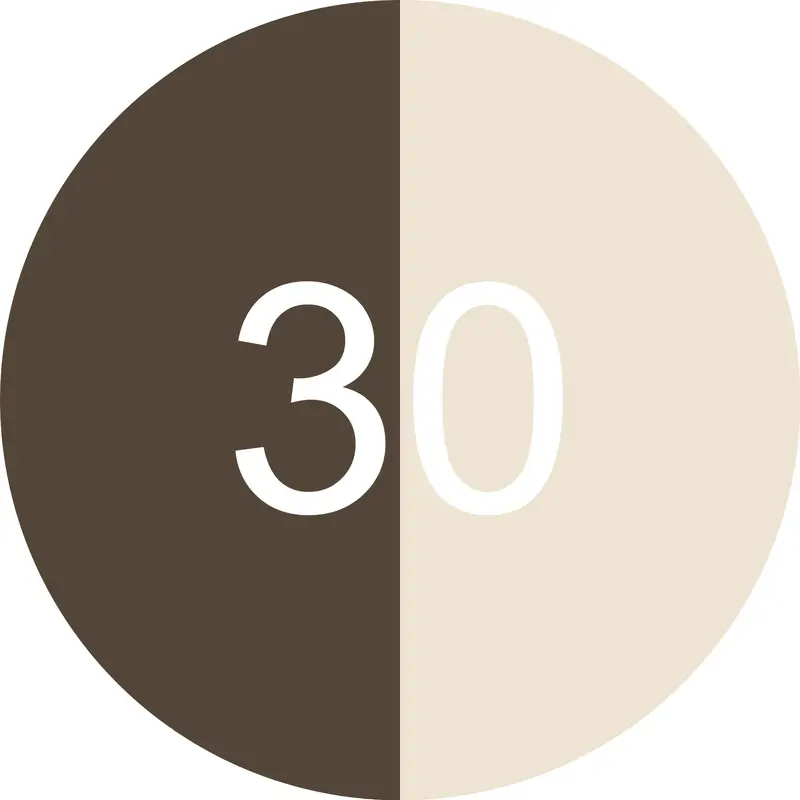 Miniatura 10