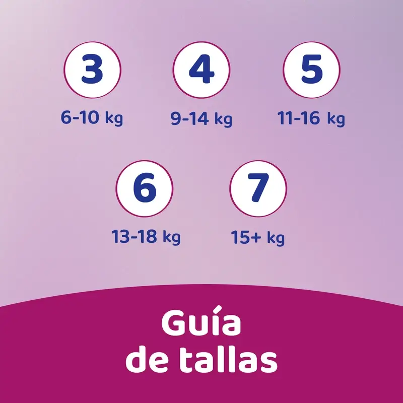 Miniatura 13