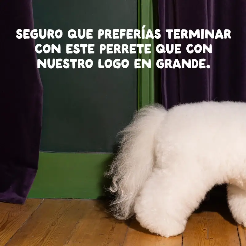 Miniatura 10