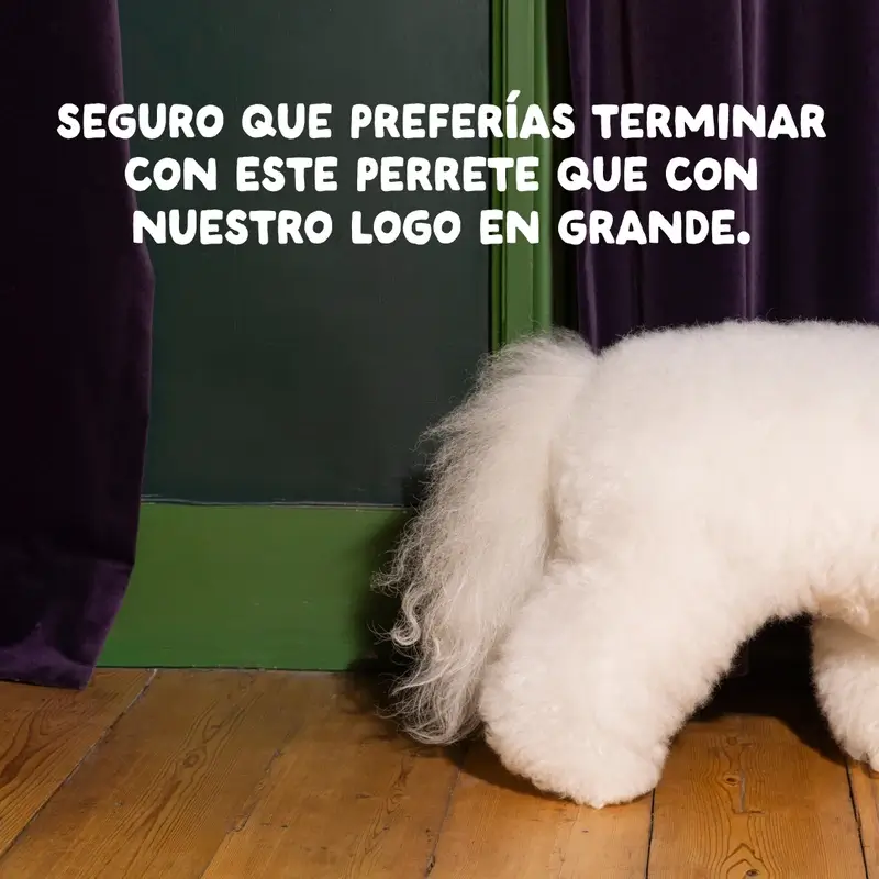 Miniatura 11