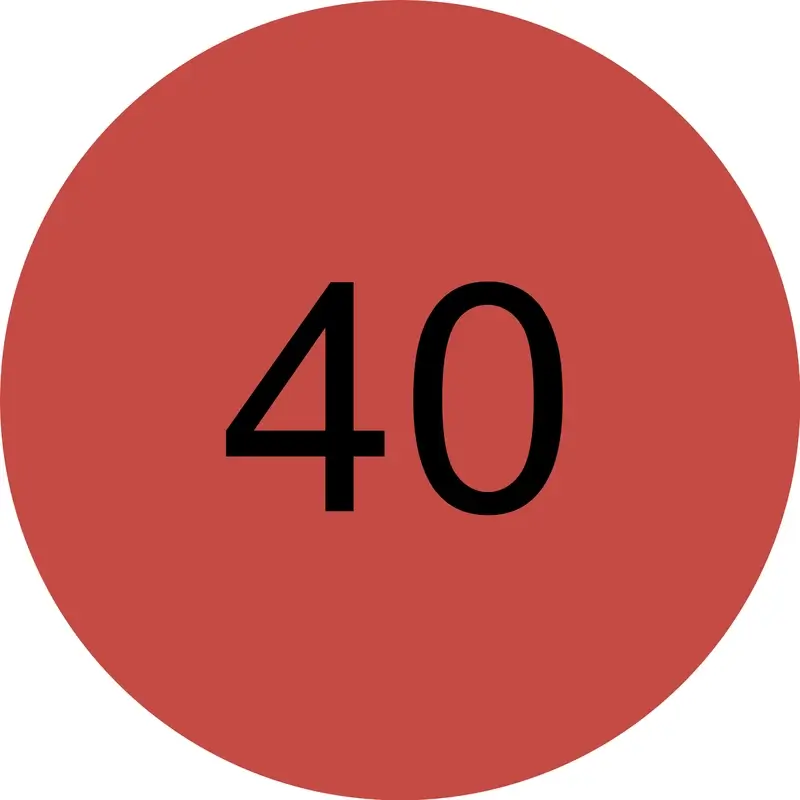 Miniatura 10