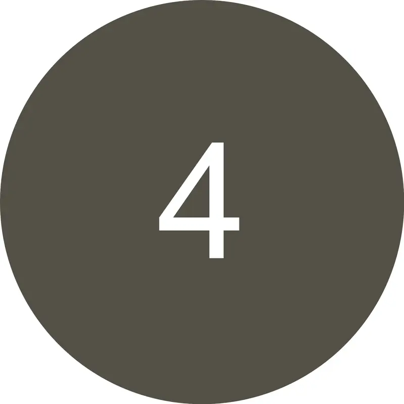 Miniatura 11